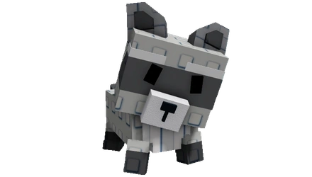 RACCON
